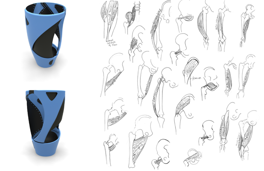 Muscle map with initial SolidWorks model
